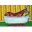 «Quarter Horse Bath» par Jay Schmetz, reproduction sur toile-22201086