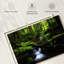 Alvord Sangdong Moss Valley-106046235