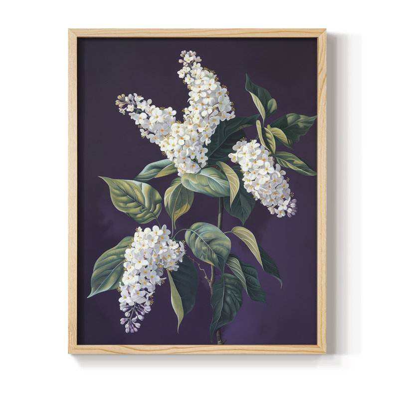 Reproduction encadrée FLORAL Series CCXXXVI - bois massif, H 11 po x l 9 po
