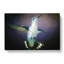 Hummingbird Bird In Flight In Abstract - Wrapped Canvas-55311842