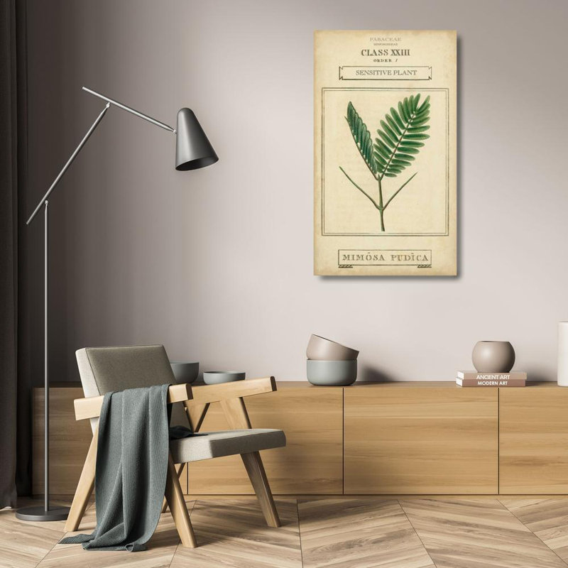 «August Grove® Vision Studio Gallery», art sur toile tendue: Linnaean Botany IV, H 24 po x l 16 po