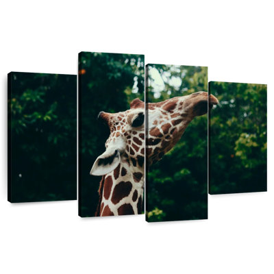 Brampt Giraffe Head Close-Up