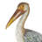Cole And Grey Resin Textured Pelican Sculpture With Brown Block And Shiny Accents
