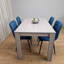 Impriano 4 - Person Dining Set-1690753106