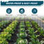 Clôture en métal galvanisé pour le jardin et la ferme-126048892-126048895