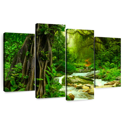 Alvord Enchanting Deep Rainforest