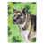 Black Akita
