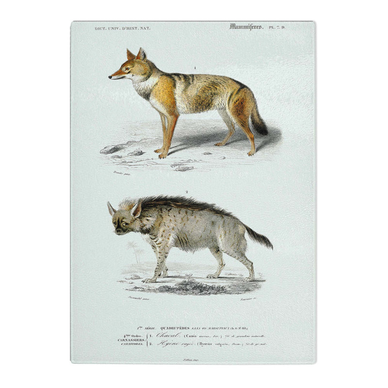 Tempered Glass Golden Jackal and Striped Hyena by Charles d'Orbigny Chopping Board, 39cm W x 28.5cm L