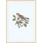 Nesting Navigators Blue 1 Print-1103102696
