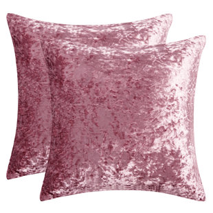 Coussin décoratif en velours  (Ensemble de 2)