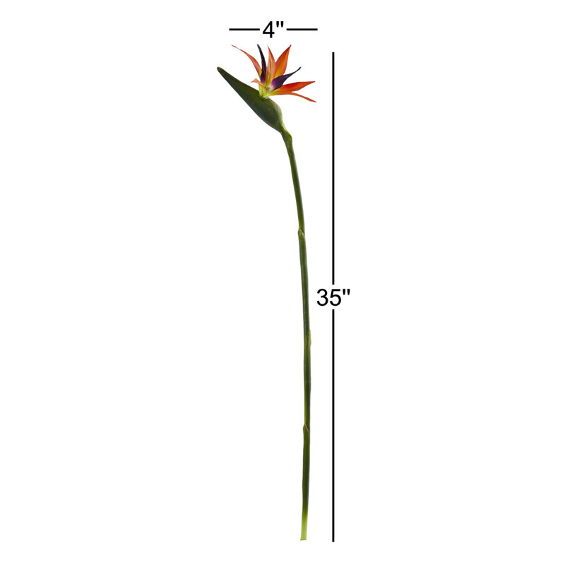 Bird Of Paradise Arrangement