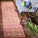 Hardrian Hooked Indoor/ Outdoor Red/Neutral Rug
