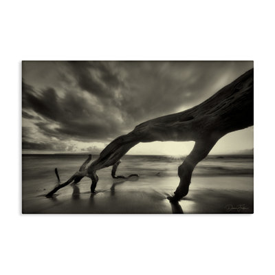 "Tronc d'arbre sur toile" par Dennis Frates
