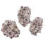 Barnacle 3 Piece Wall Décor Set-50432495