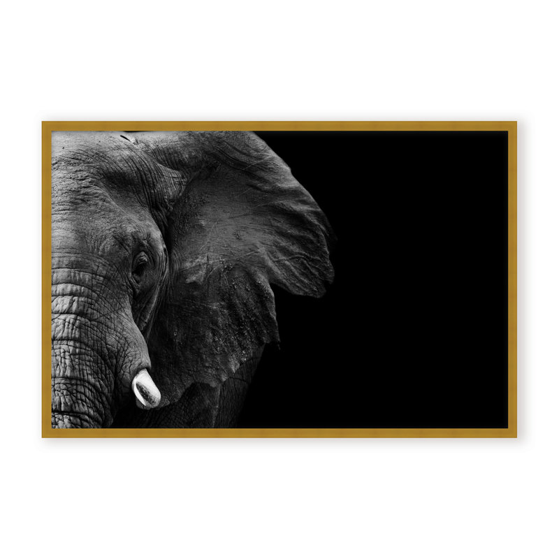 Nature Inspired Elephant by  - Picture Frame Photograph on Paper, 16" H x 24" W x 1.125" D, Beige, Framed Print