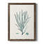 Heffron Antique Coastal Coral VII, reproduction d'art sur toile-88399308-88399307