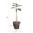 68.5'' Faux Philodendron Plant in Fiberstone Planter
