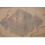 Tapis turc Oushak 4 x 7