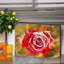 Bloc de bois rose Gilligan-804974680