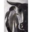 Bull Head Closeup Print On Canvas