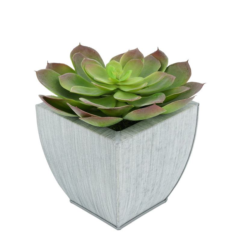 Succulent artificiel 2" en pot, Ferme