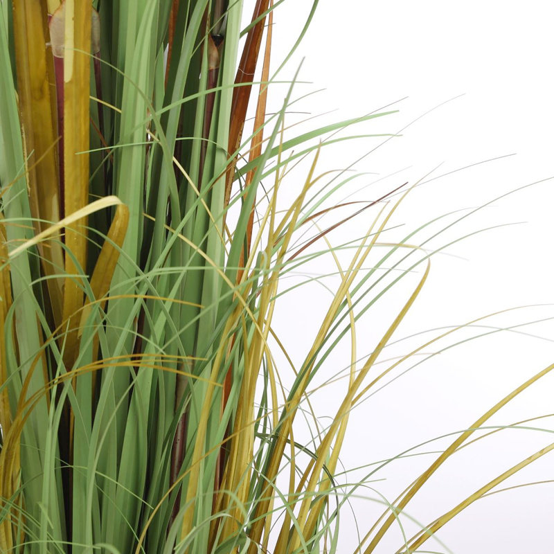 Faux Pampas Grass Grass in Pot, 180cm H x 80cm W x 80cm D