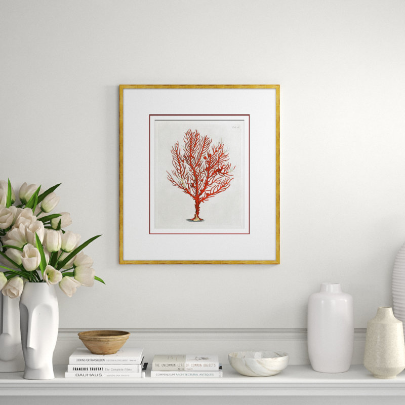Coastal Collection - Coral in Red - cadre photo, impression sur papier