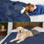 PET - B3022C Nylon rafraîchissant-95187684-95187678