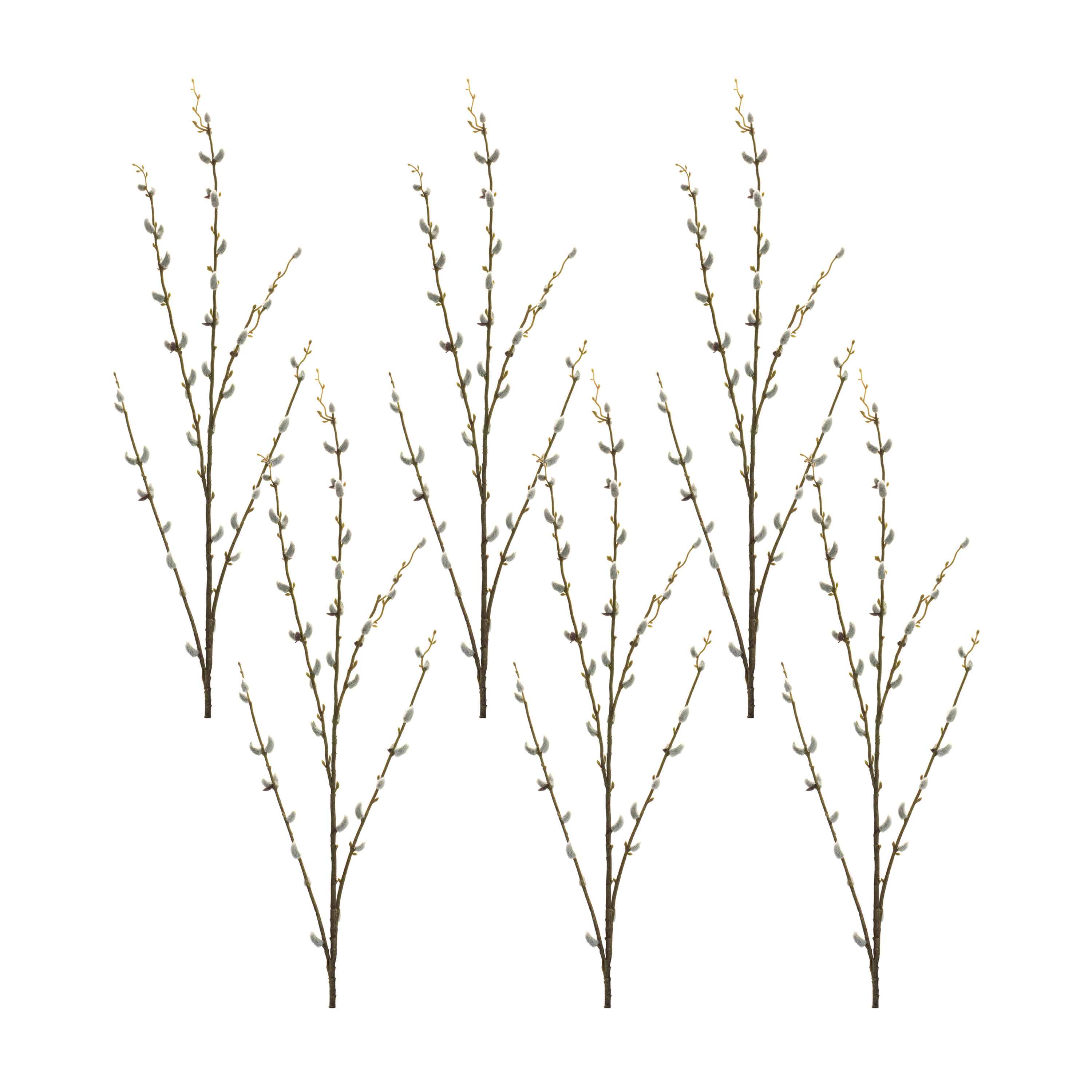 Primrue Pussy Willow Stems, Bushes, And Sprays Arrangement