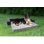 Lits convertibles pour chien Burnham-1732178288-1732178303