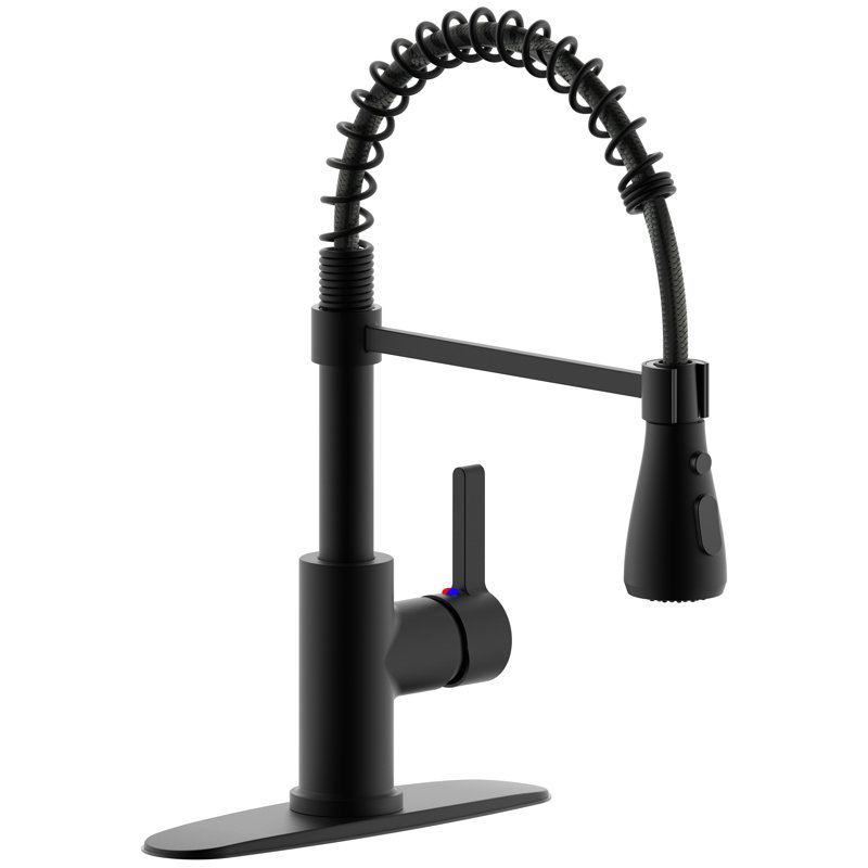 Derengge Single Handle  Spring Kitchen Faucet With Pull-Down Sprayer