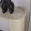 Table d'entrée pour le salon, console étroite