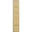 Oriental Area Rug in Ivory