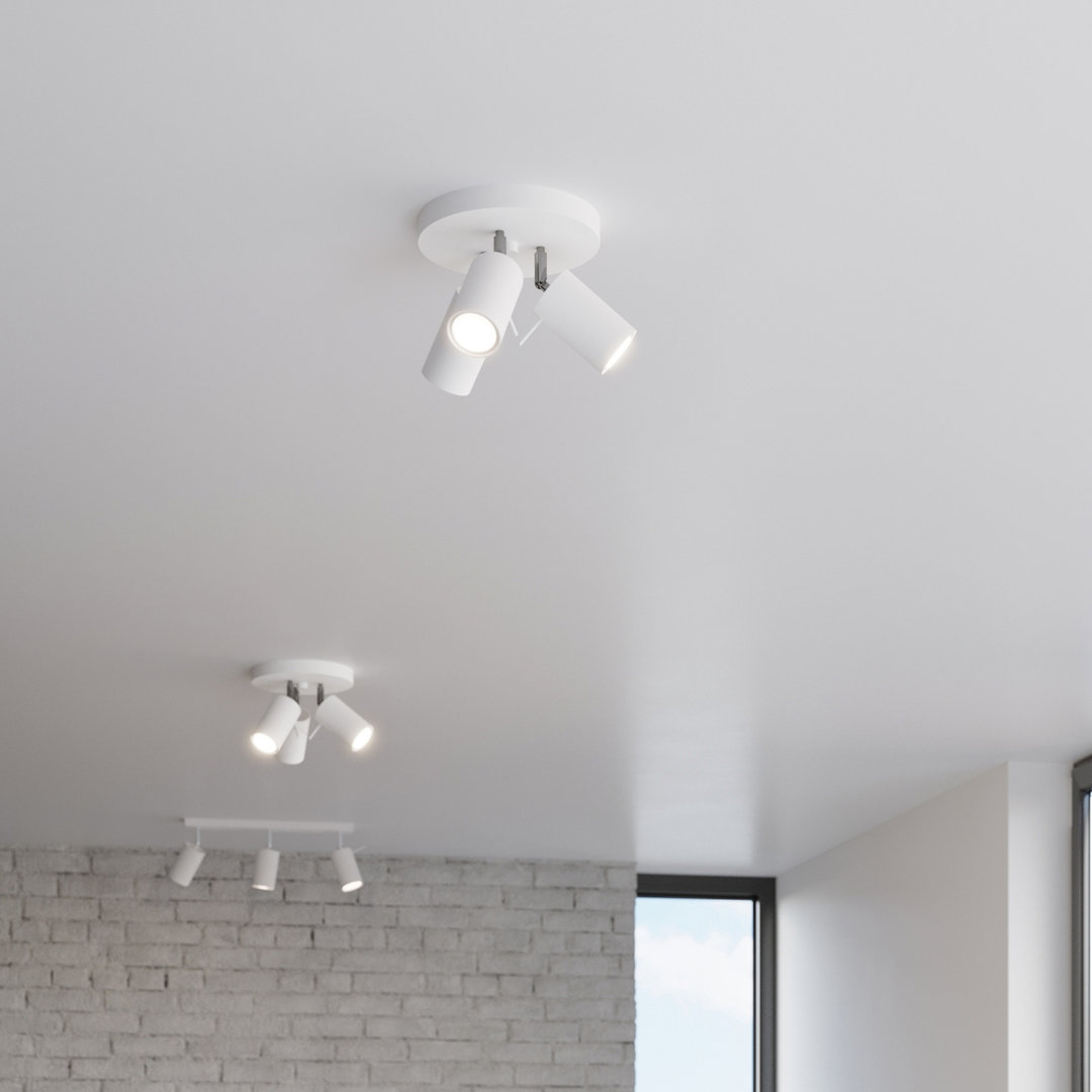 Sollux Lighting Ceiling Lamp Ring 3P Black - White - Image 3