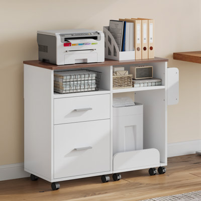 80cm Wide 2 -Drawer Mobile File Cabinet