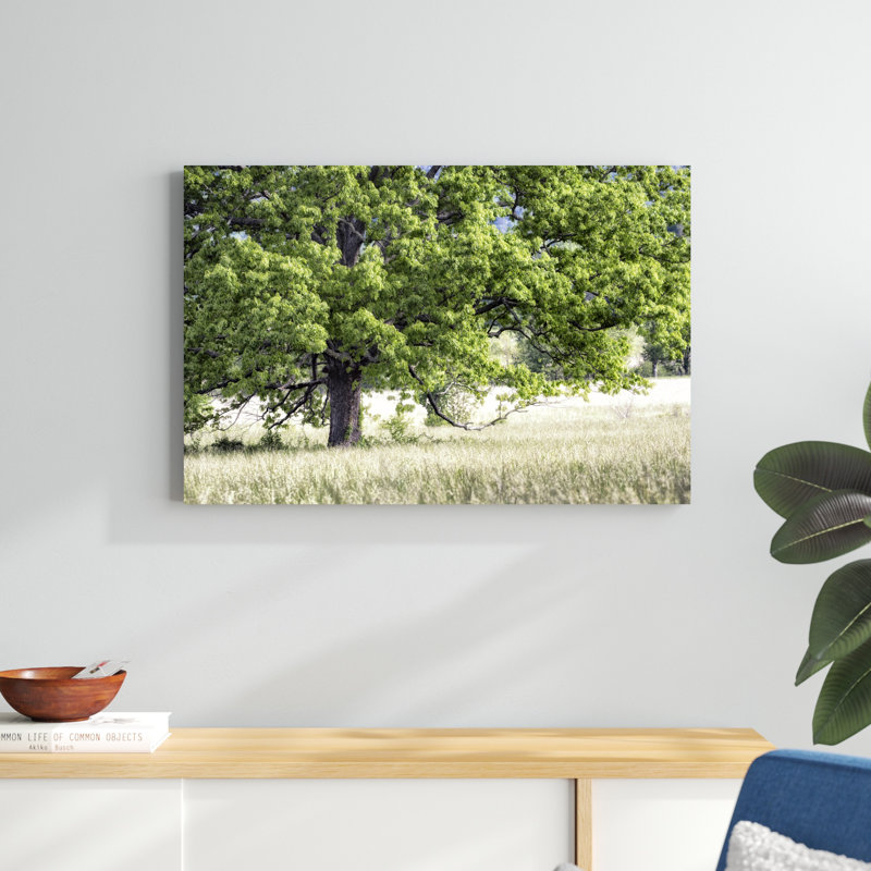 Arbre en été, H 24 po x l 36 po x P 1,25 po