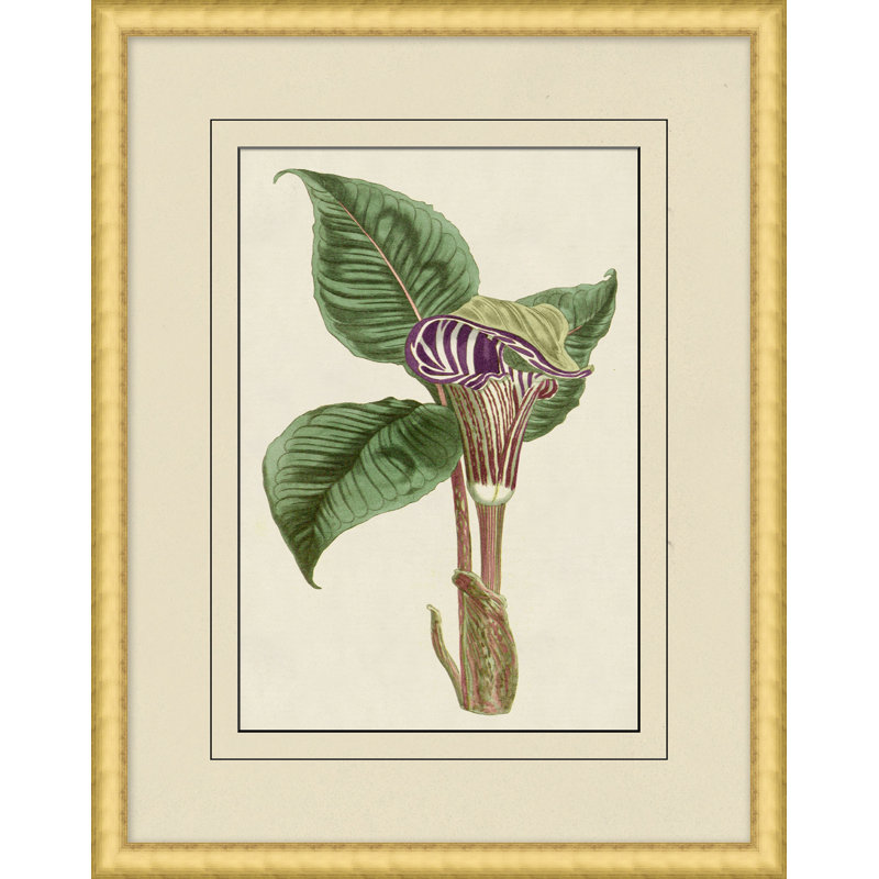 Fresh Flowers 7 Print