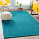 Americus Handwoven Wool Teal Area Rug