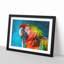 Rainbow Macaw Parrot - Framed Print-56758303-56758304