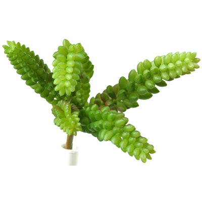 9'' Faux Donkey's Tail Succulent Succulent