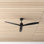 Zelda 52" W 3-Blade Propeller with Remote Control