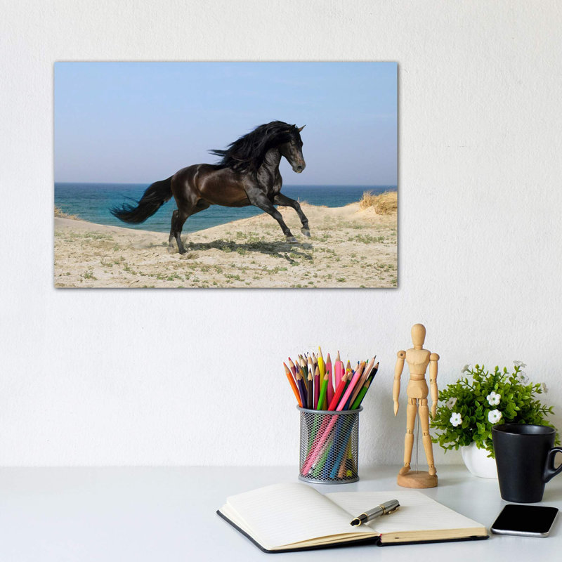 Black Horse On The Beach by Bob Langrish - Print on Canvas, 66.04 cm H x 45.72 cm W x 1.91 cm D, Wrapped Canvas