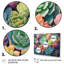 Vert, bleu, plantes grasses, succulentes, rêves II-1369213149-1369213150