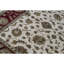 Dharma Oriental Area Rug