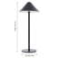 Iron USB Desk Lamp