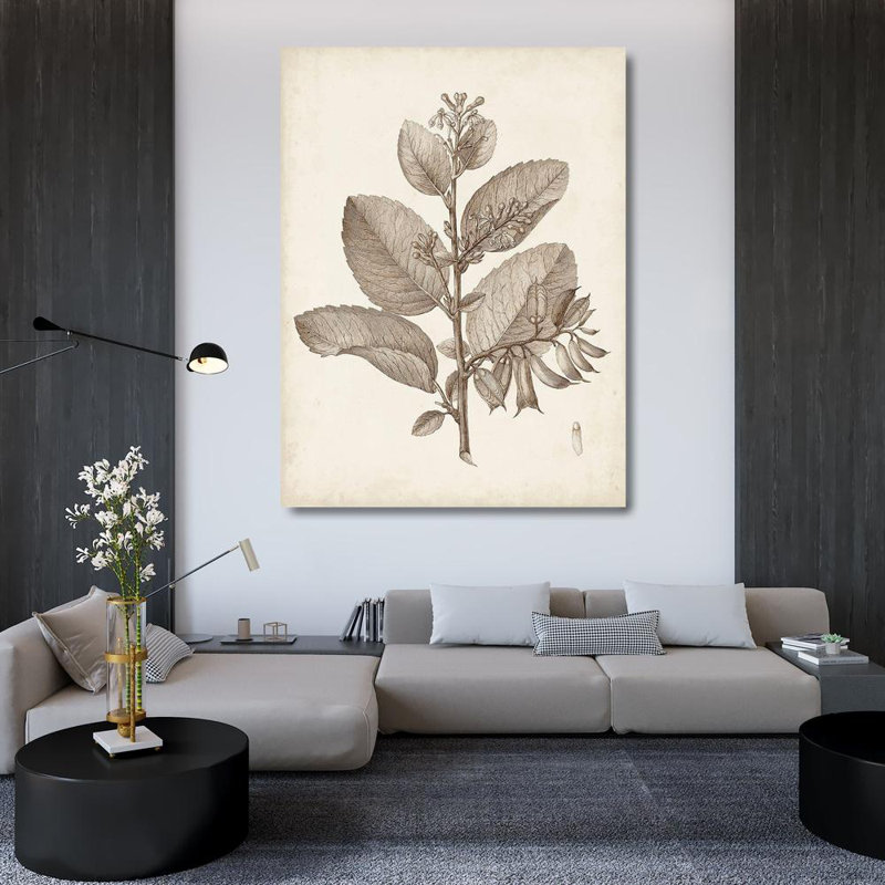 "Antique sépia botanicals V", H 47 po x l 36 po