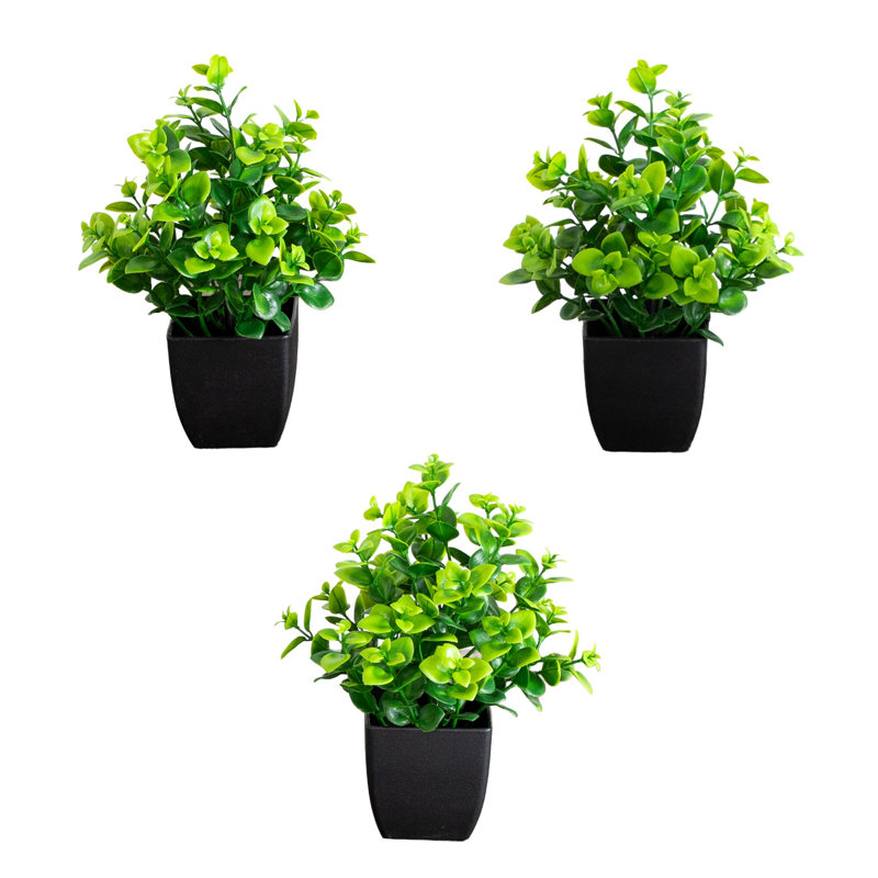 8 po Plante artificielle buis à feuilles persistantes en pot carré noir - ensemble de 3