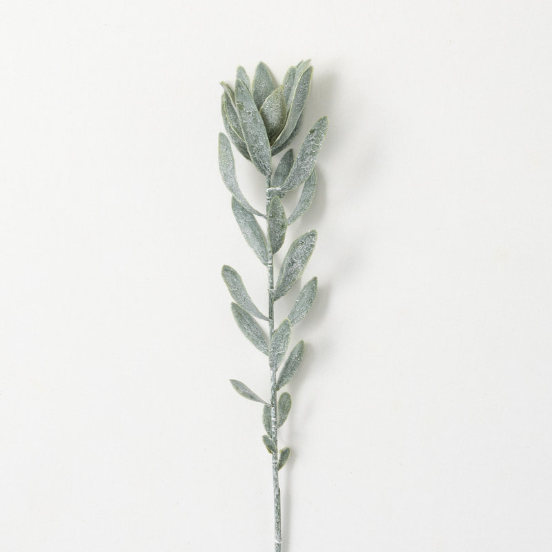 29" Subtle Protea Spray, Green, 29" H x 3" W x 2.5" D