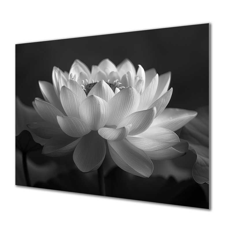 Gris gris et gris, impression d'art mural Lotus, Sans cadre, métal, H 16 po x l 32 po