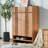 Popular and practical storage shoe cabinet